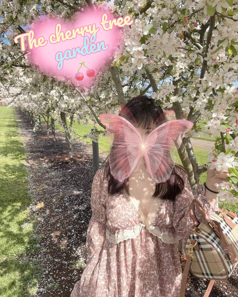 Alice 10am~6pm
